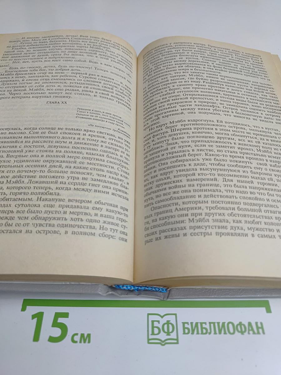 Следопыт, или На берегах Онтарио. Пионеры, или У истоков Саскуиханны. Том 2