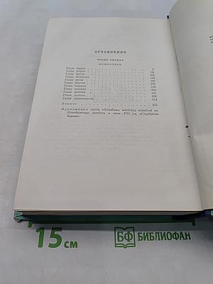 Россия молодая