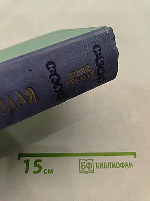 Россия молодая