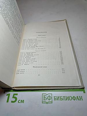 Одеты камнем. Михайловский замок