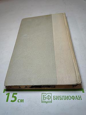 Одеты камнем. Михайловский замок