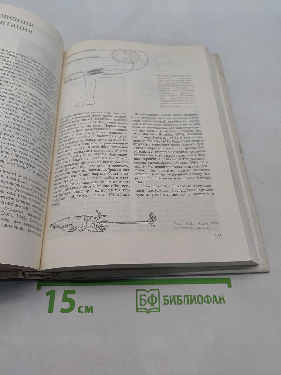 Поведение животных. Психобиология, этология и эволюция