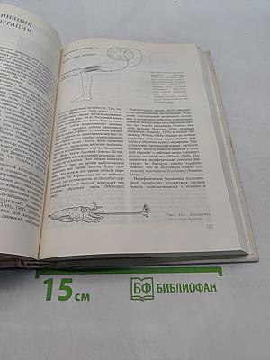 Поведение животных. Психобиология, этология и эволюция