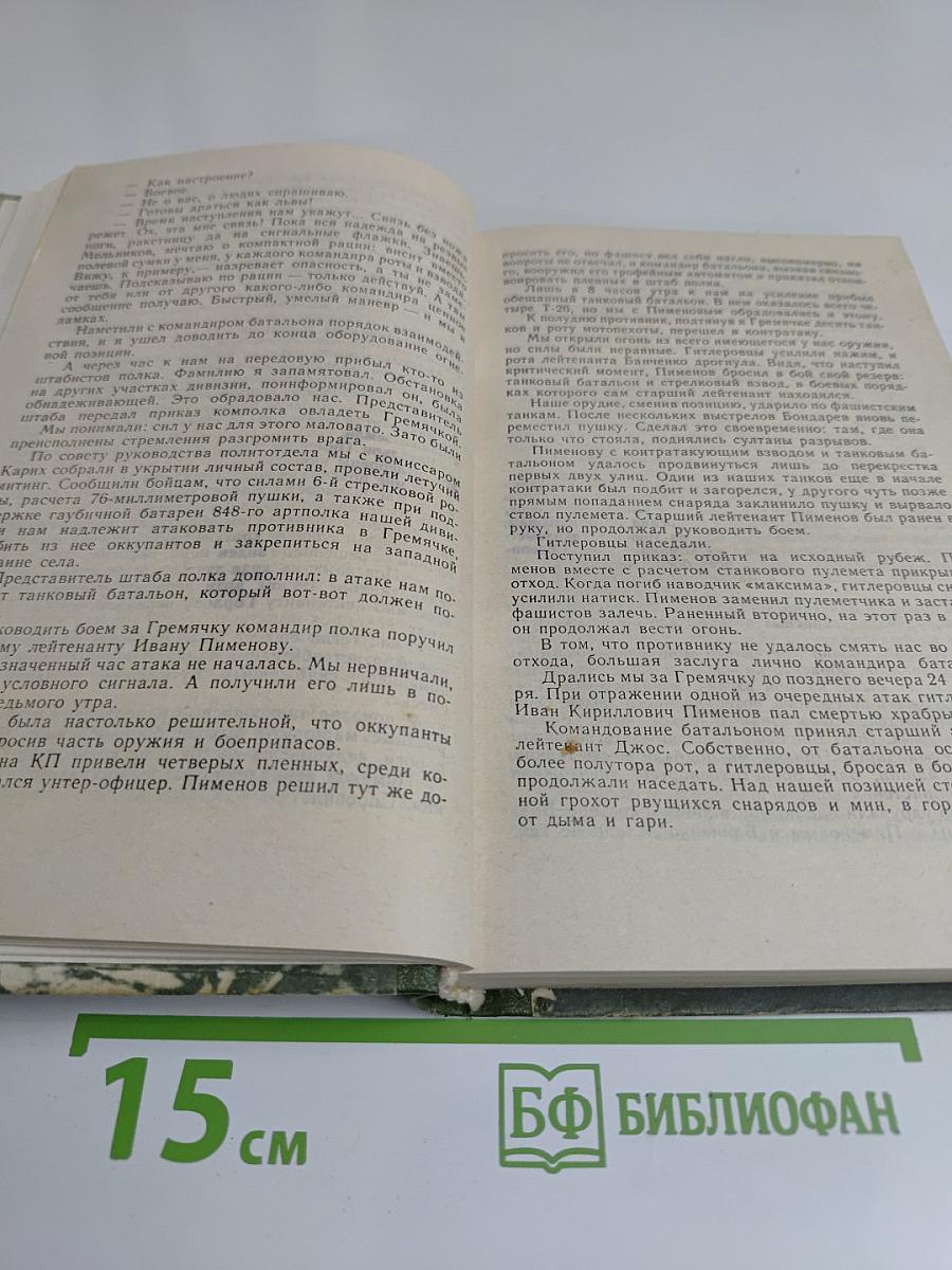 Огнем полковых батарей