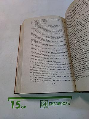 Виконт де Бражелон, или Десять лет спустя. Часть третья