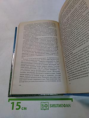 Цветы в саду и ландшафтный дизайн