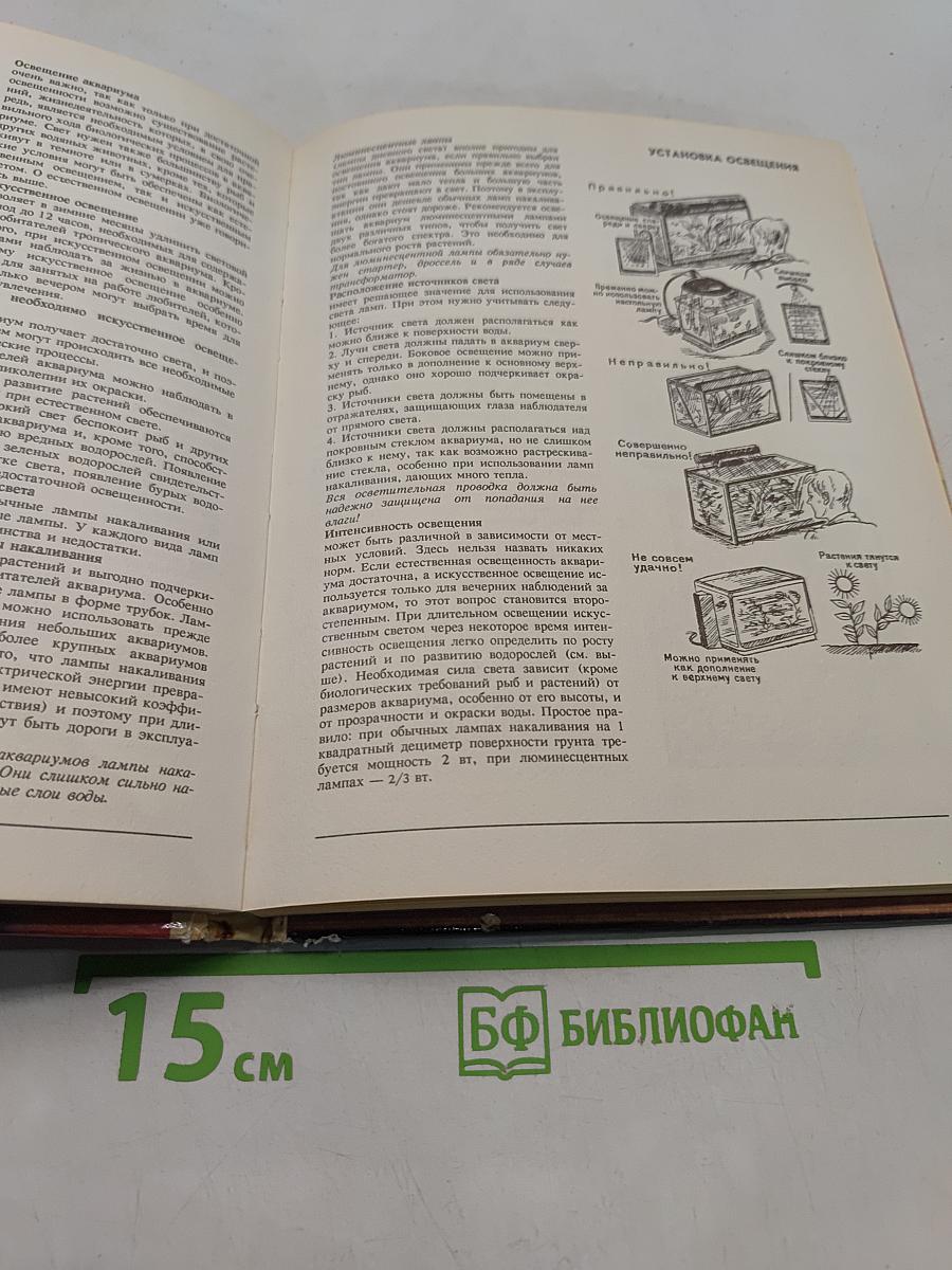 Твой аквариум