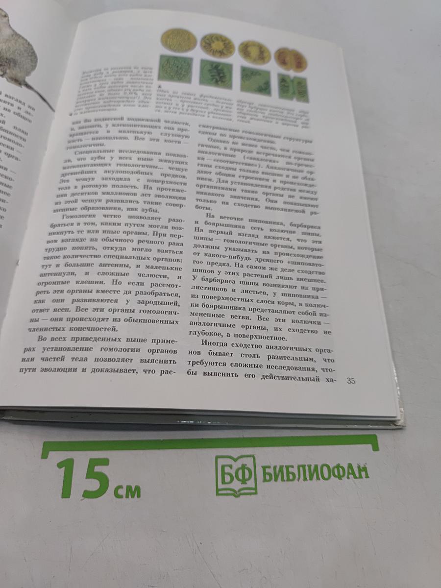 Мир эволюции