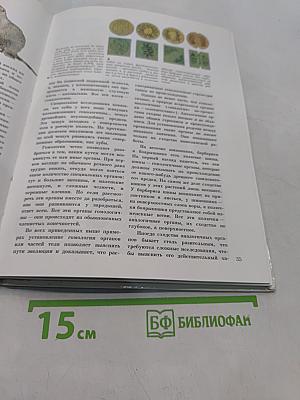 Мир эволюции