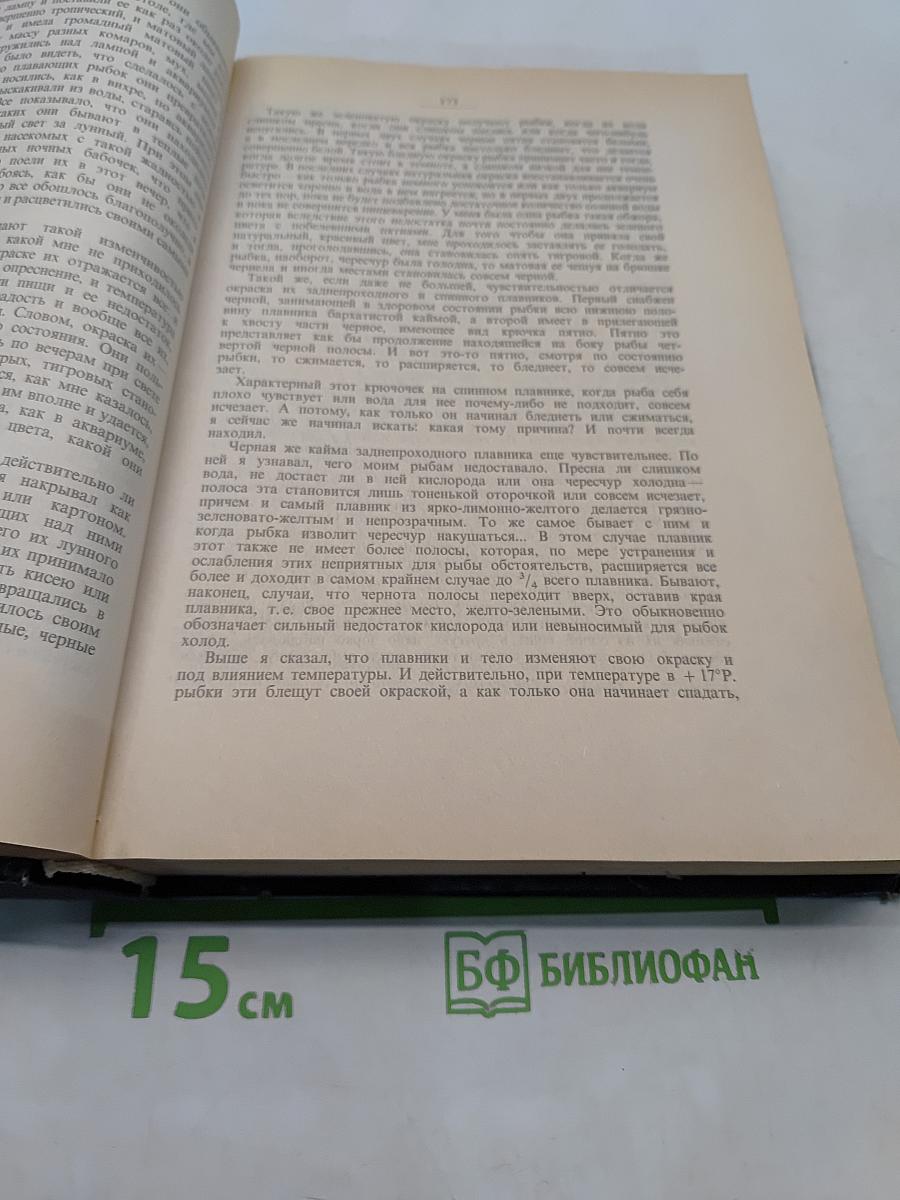 Аквариум любителя