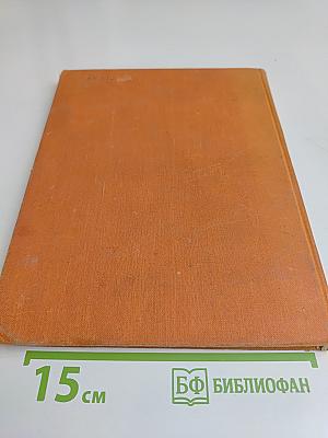 Слово о полку Игореве