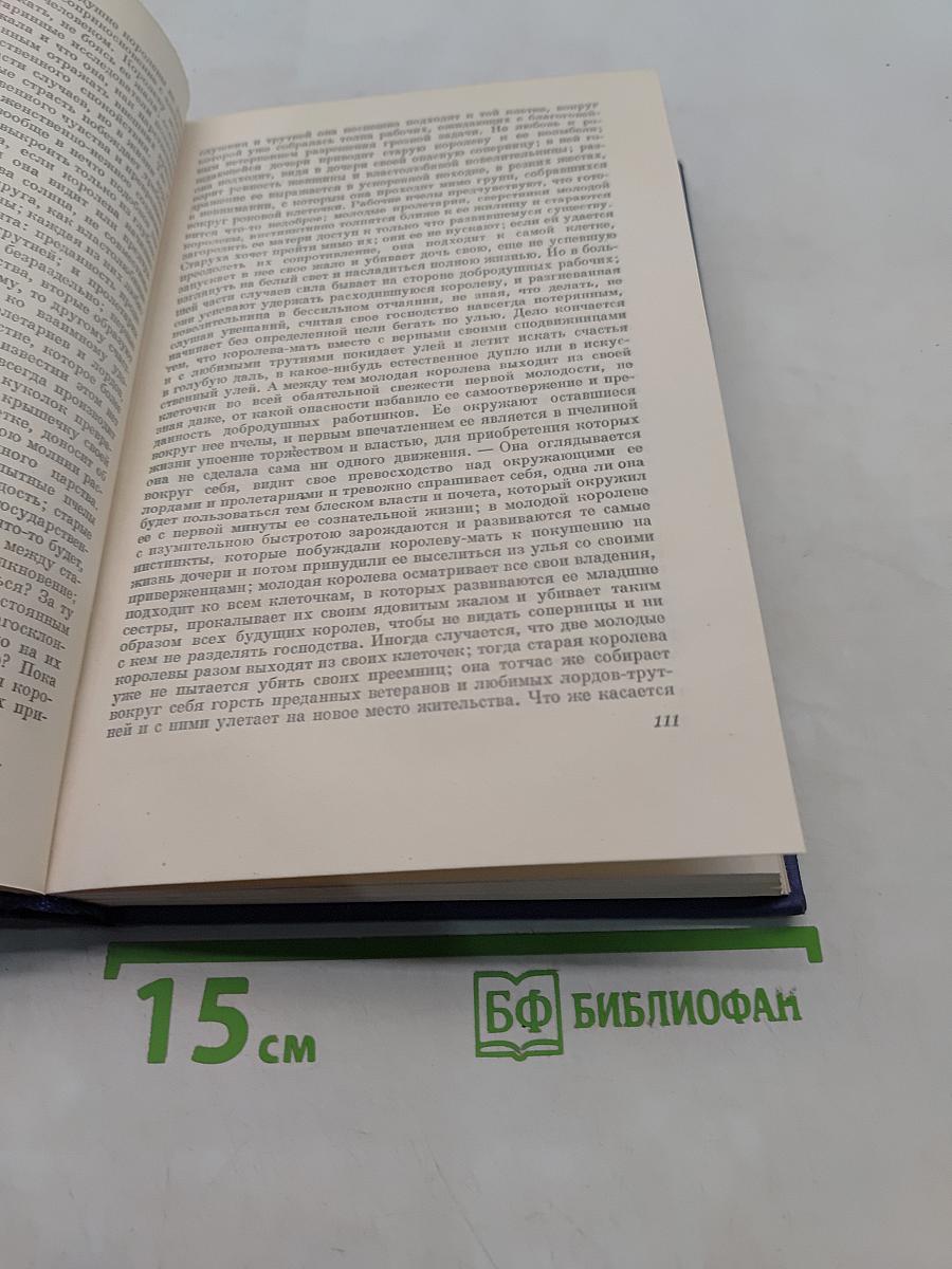 Сочинения. Том 2. Статьи 1862-1864