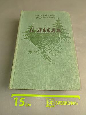В лесах. Книга вторая