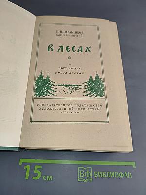 В лесах. Книга вторая