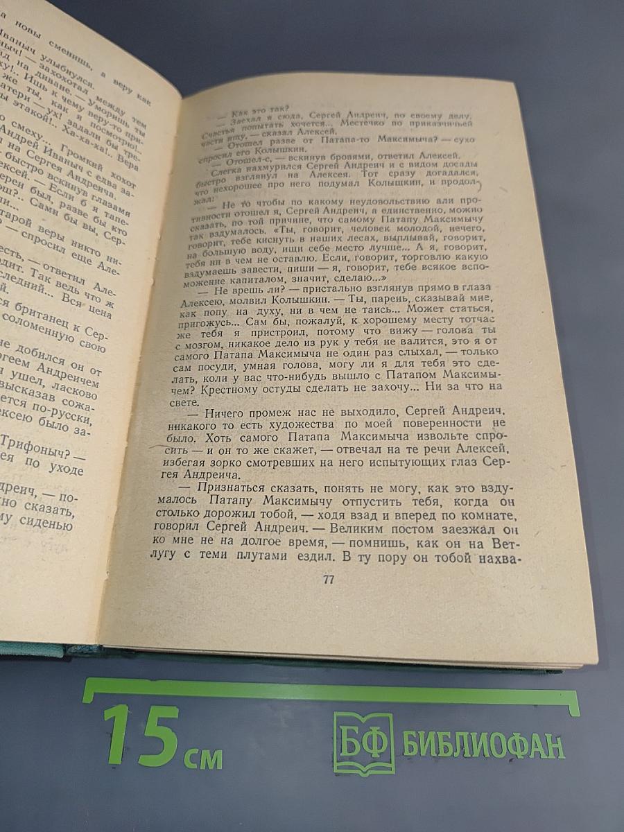 В лесах. Книга вторая