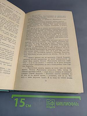 В лесах. Книга вторая