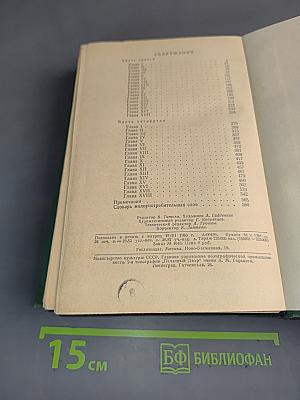 В лесах. Книга вторая