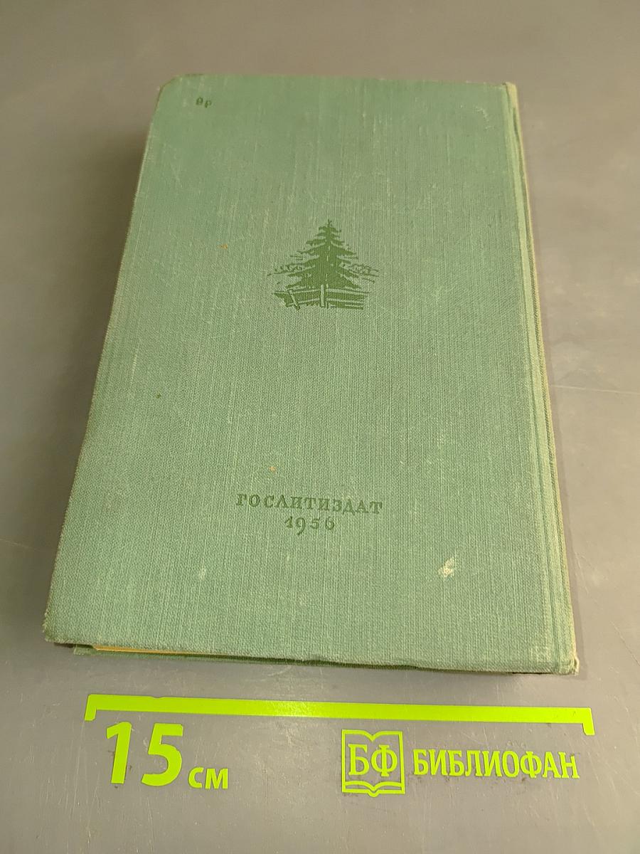 В лесах. Книга вторая