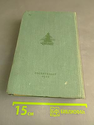 В лесах. Книга вторая