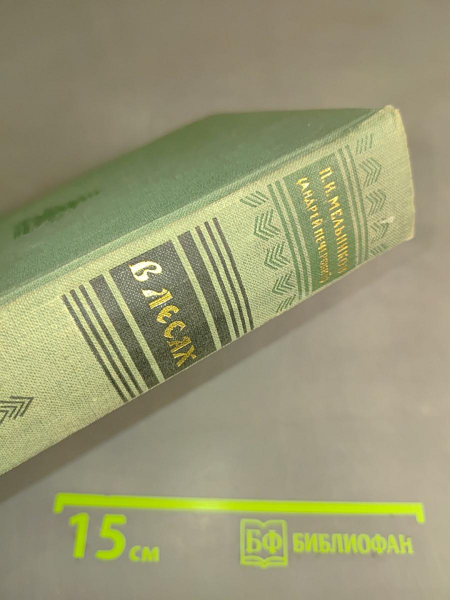 В лесах. Книга вторая