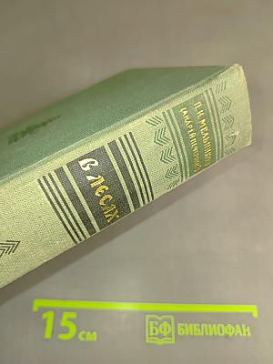 В лесах. Книга вторая