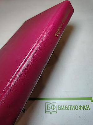 Бетонный фламинго. И глубокое синее море. Сооруди себе рыжий парик