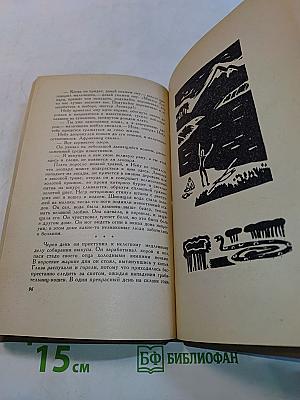 Леопард