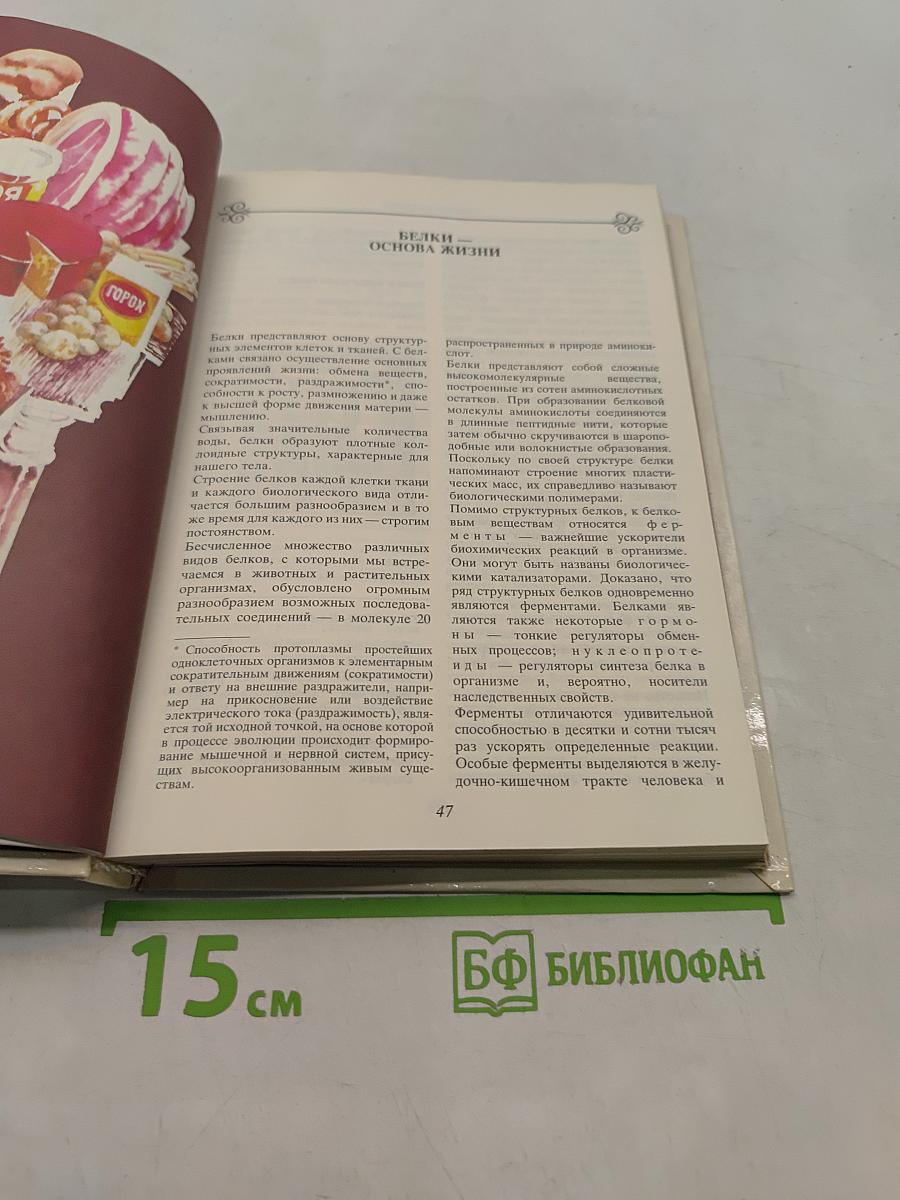 Беседы о питании