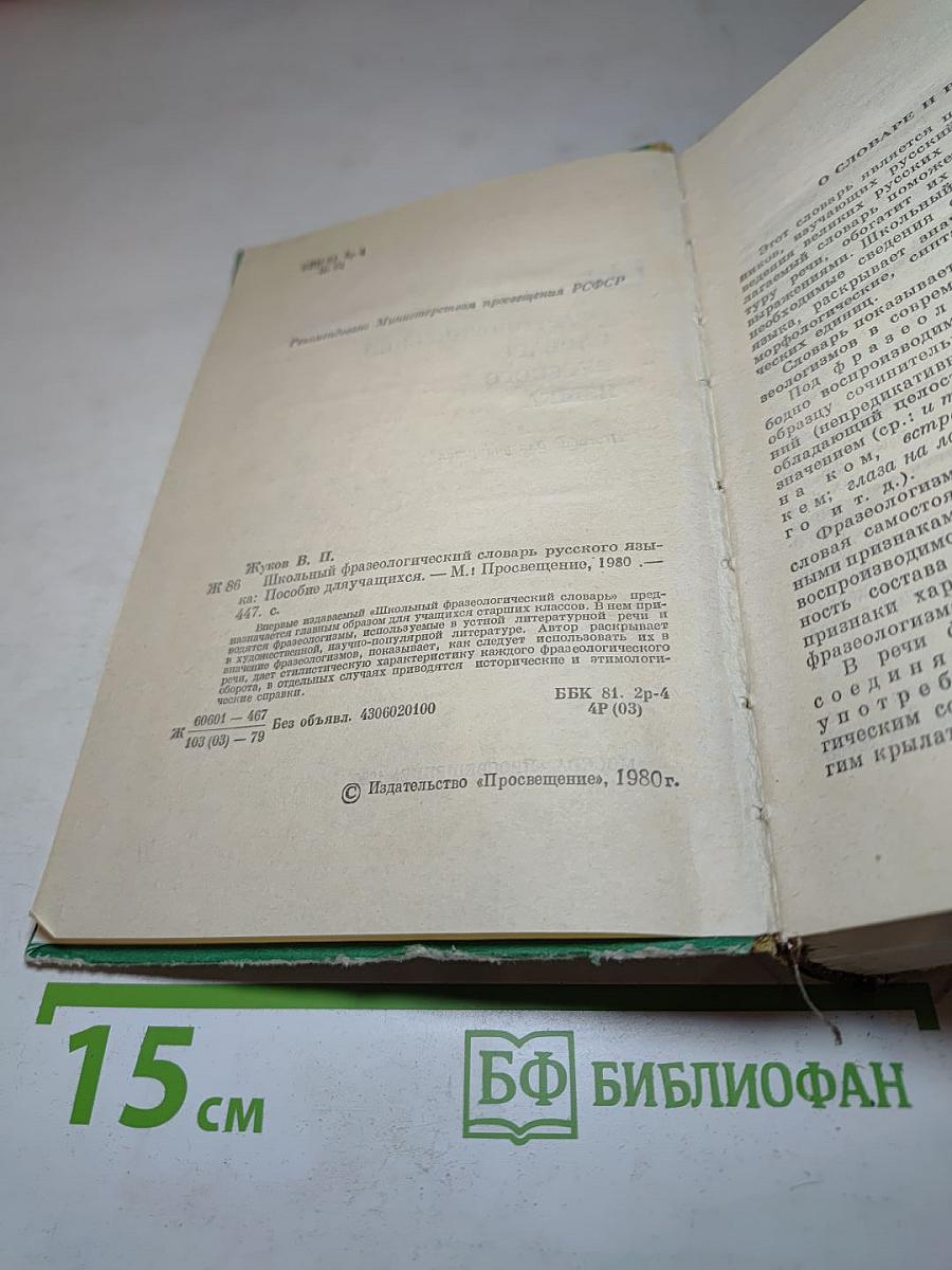 Школьный фразеологический словарь русского языка