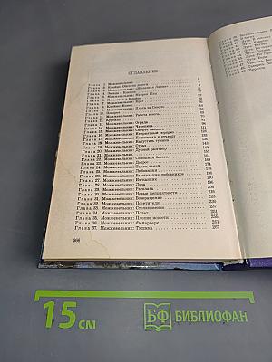 Глен Кук. Огненная тень. Вторая Летопись Черной Гвардии