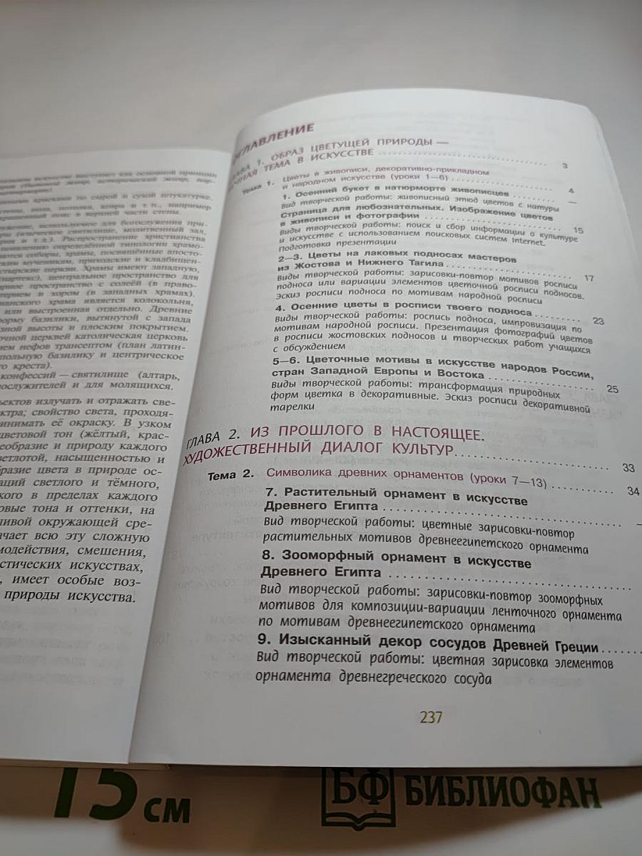 Изобразительное искусство 6 класс