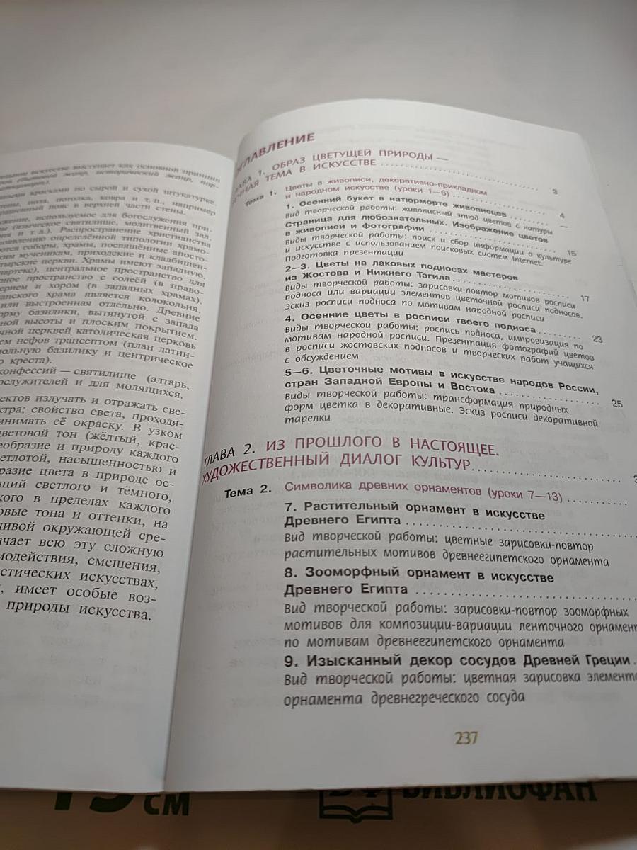Изобразительное искусство 6 класс