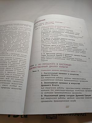 Изобразительное искусство 6 класс