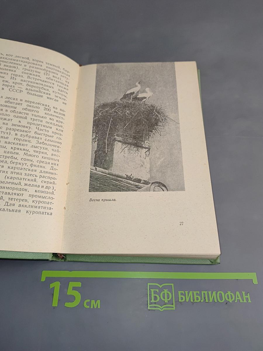 Советское Закарпатье. Справочник
