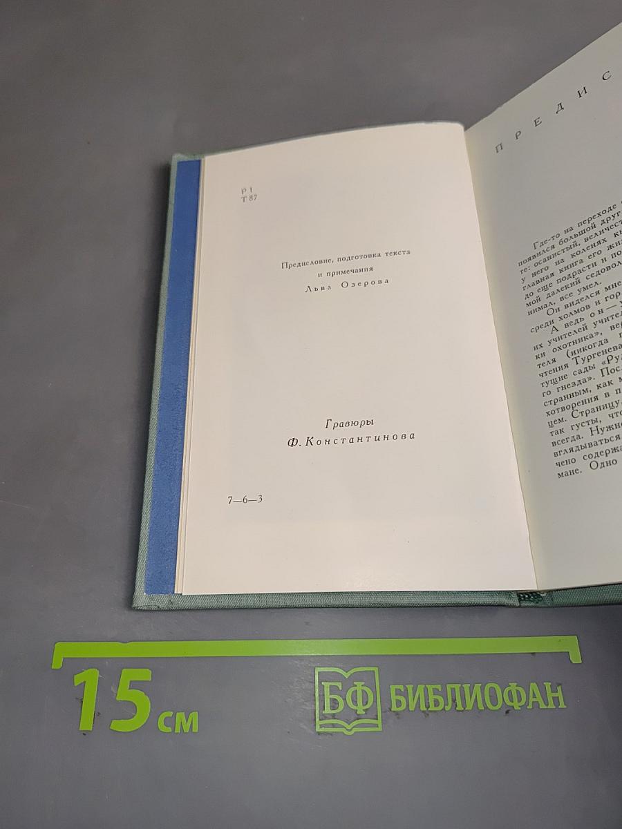 Стихотворения в прозе