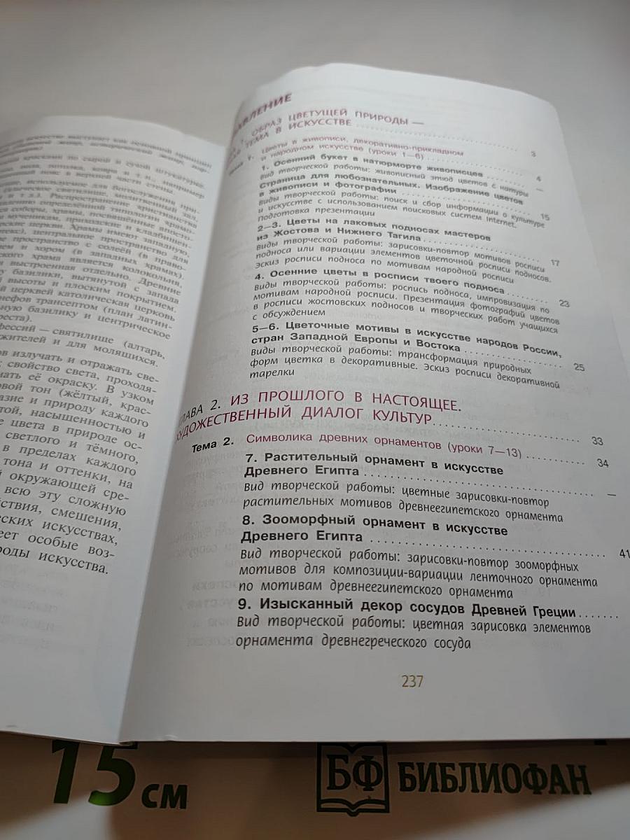 Изобразительное искусство 6 класс
