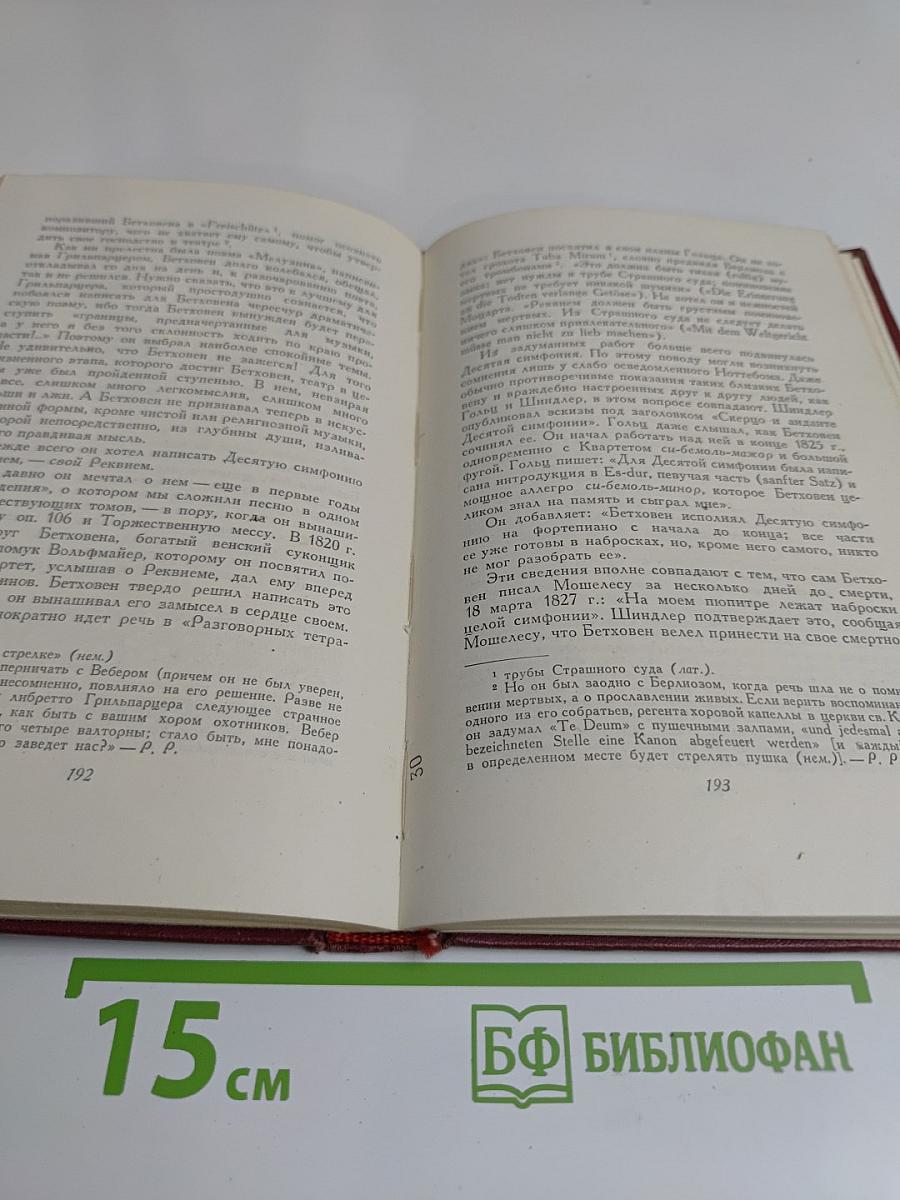 Собрание сочинений в четырнадцати томах. Том двенадцатый. Бетховен. Великие творческие эпохи. Незавершенный собор