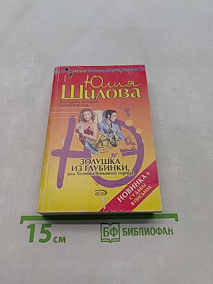 Золушка из глубинки, или Хозяйка большого города
