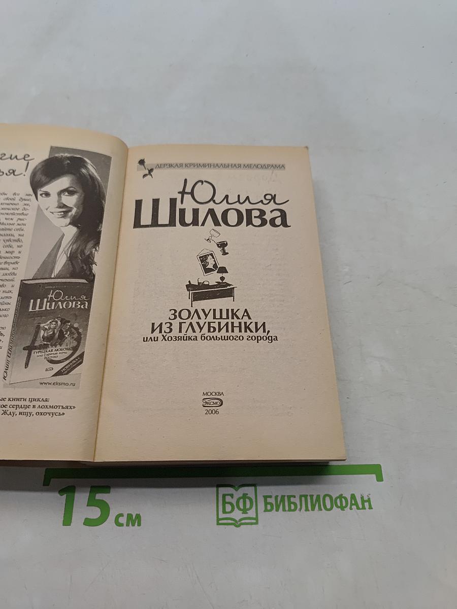 Золушка из глубинки, или Хозяйка большого города