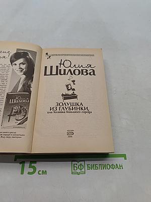 Золушка из глубинки, или Хозяйка большого города