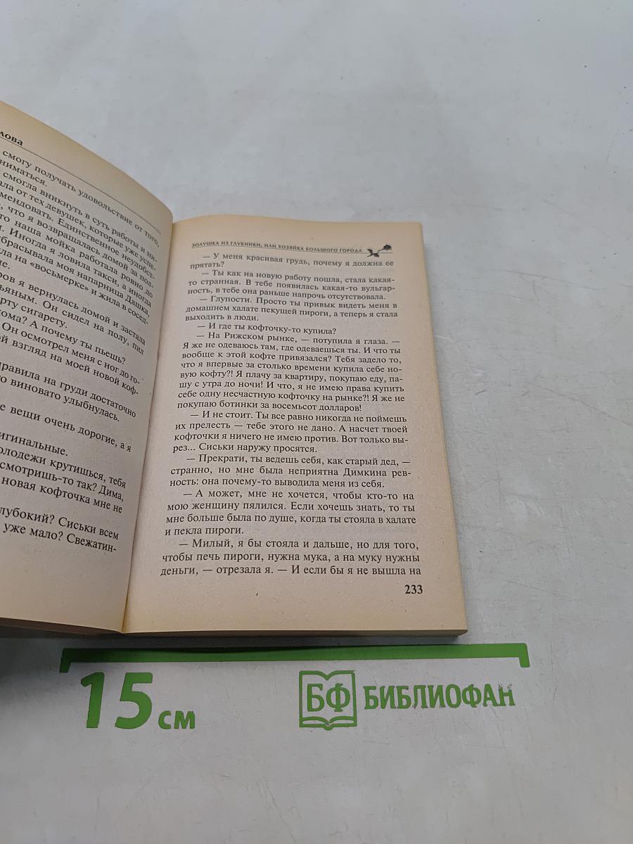 Золушка из глубинки, или Хозяйка большого города
