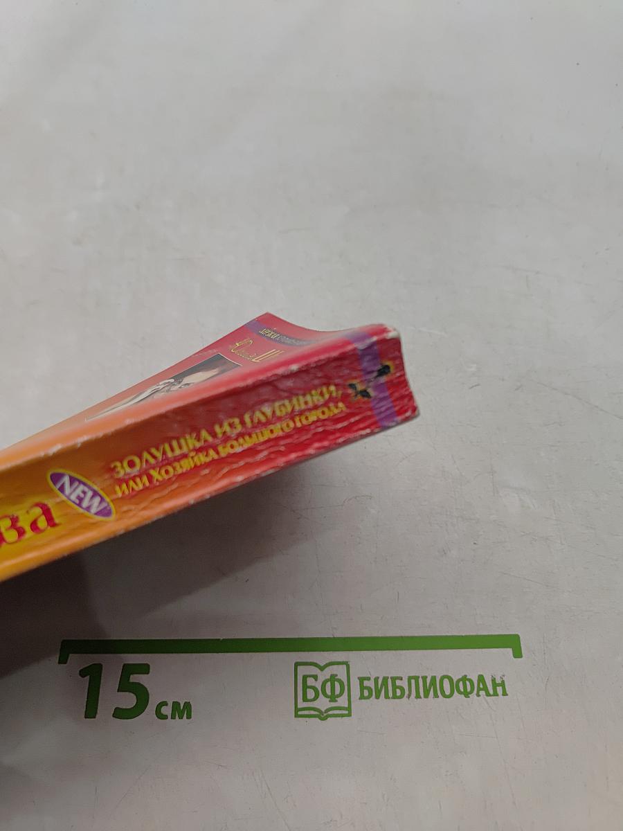 Золушка из глубинки, или Хозяйка большого города