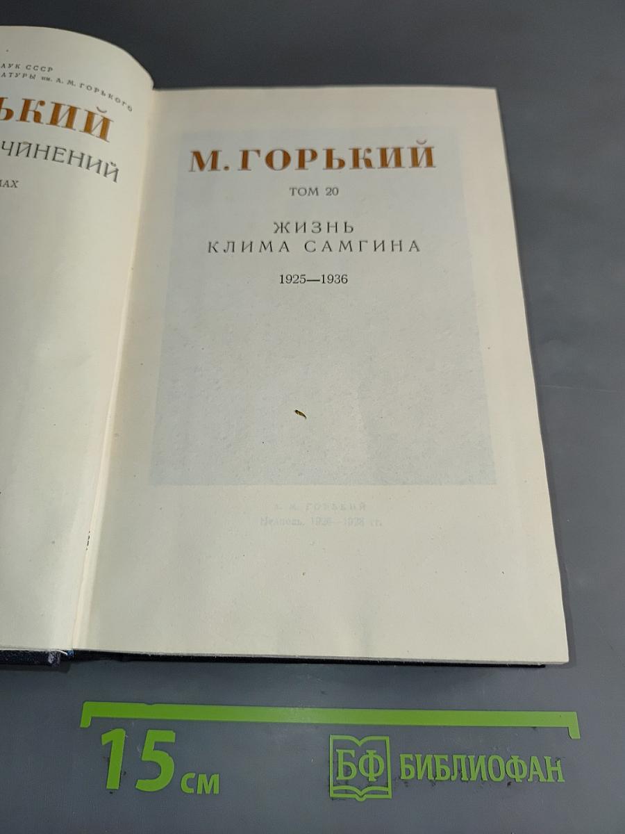 Жизнь Клима Самгина. Том 20