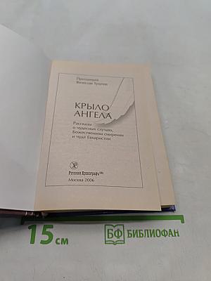 Крыло ангела