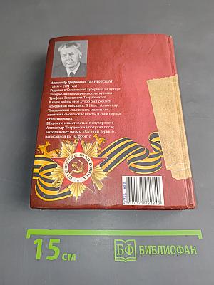 Василий Теркин. Теркин на том свете