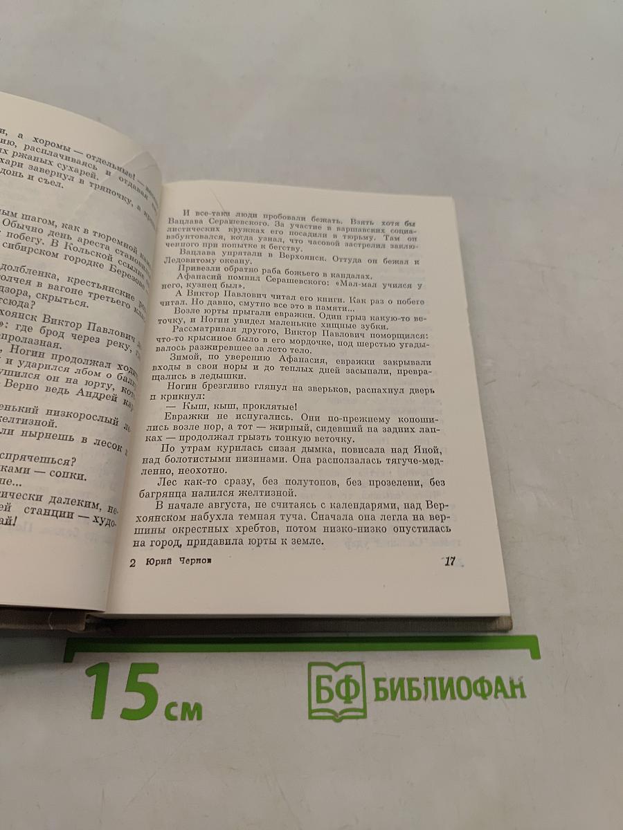 Любимый цвет – красный