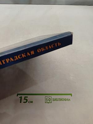Государственная автомобильная инспекция Санкт-Петербург и Ленинградская область