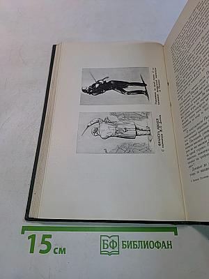 Никколо Паганини. Жизнь и творчество