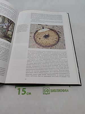 Как возник наш мир