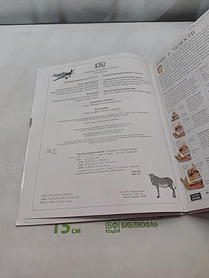 Иллюстрированная семейная энциклопедия. Том 6. Зубы и челюсти – Кари Великий